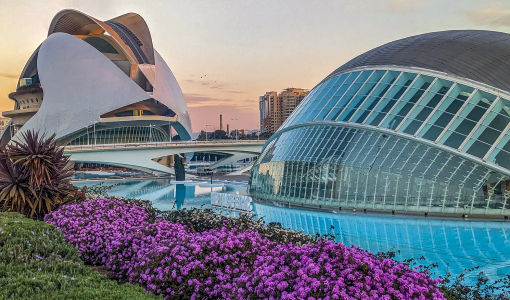 The modern buildings of the City of Arts and Sciences in Valencia at sunset, surrounded by water and flowers.