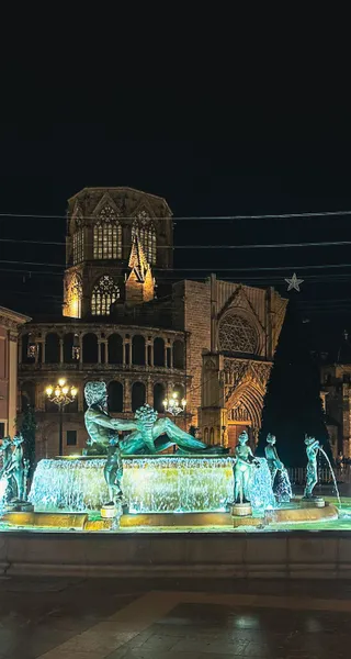 Night view of the Plaza de la Virgen fountain and Valencia Cathedral, illuminated against a dark sky.