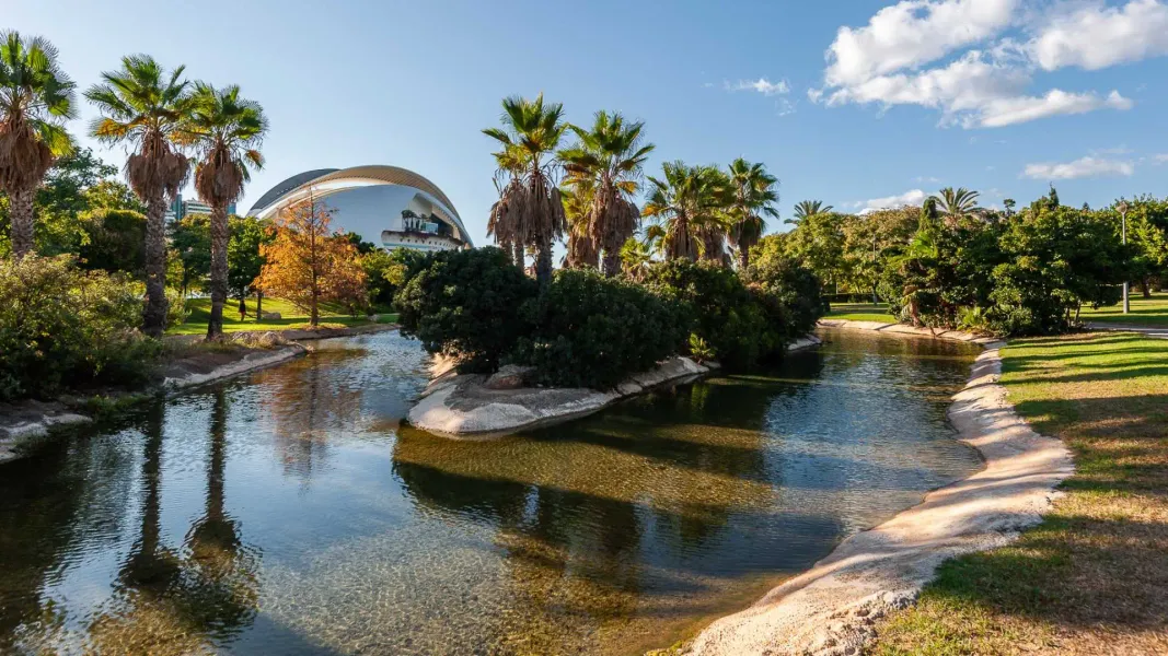 Palm trees and a pond in Valencia’s Turia Gardens, with a modern white building behind