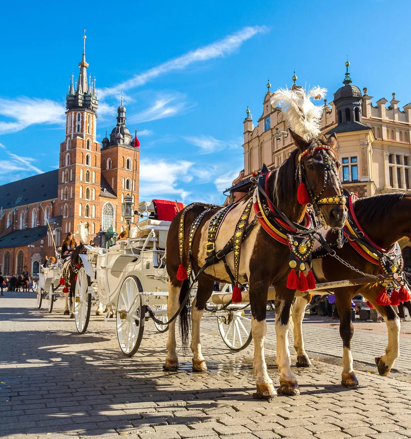 Pferdekutschen auf dem Krakauer Hauptmarkt mit der Marienkirche im Hintergrund.